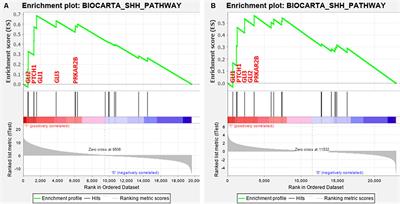 Targeted Inhibition of Fibroblast Growth Factor Receptor 1-GLI Through AZD4547 and GANT61 Modulates Breast Cancer Progression